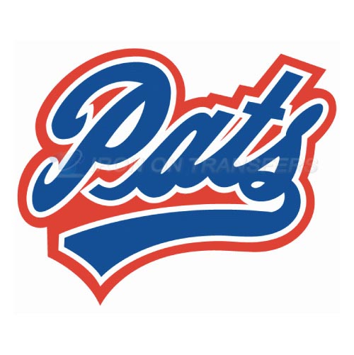Regina Pats Iron-on Stickers (Heat Transfers)NO.7537